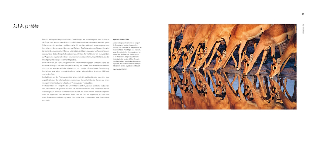 Weitere Ansicht: 60 Jahre Wildlife Fotografien des Jahres | Rosamund Kidman Cox