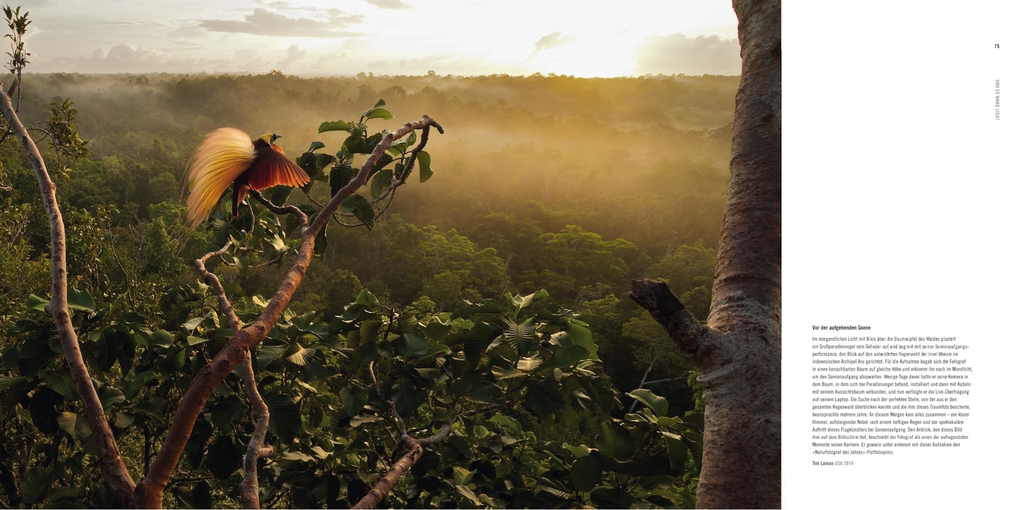 Weitere Ansicht: 60 Jahre Wildlife Fotografien des Jahres | Rosamund Kidman Cox