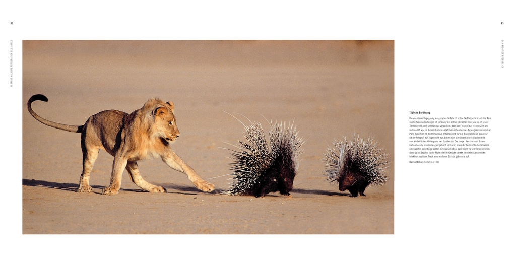 Weitere Ansicht: 60 Jahre Wildlife Fotografien des Jahres | Rosamund Kidman Cox