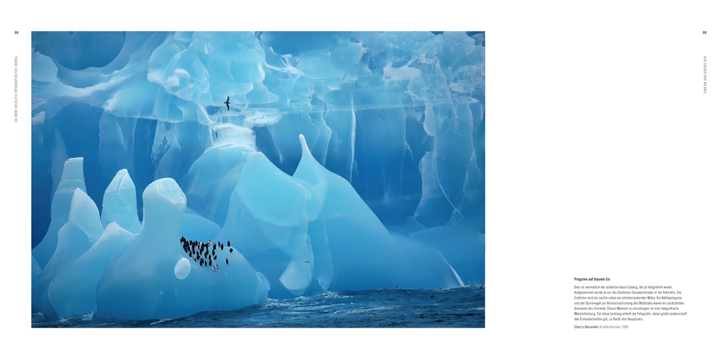 Weitere Ansicht: 60 Jahre Wildlife Fotografien des Jahres | Rosamund Kidman Cox