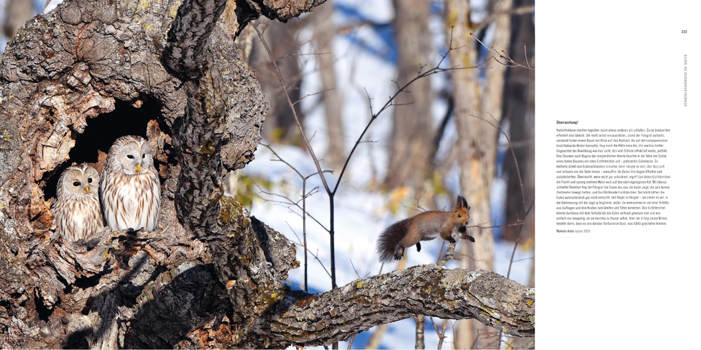 Weitere Ansicht: 60 Jahre Wildlife Fotografien des Jahres | Rosamund Kidman Cox