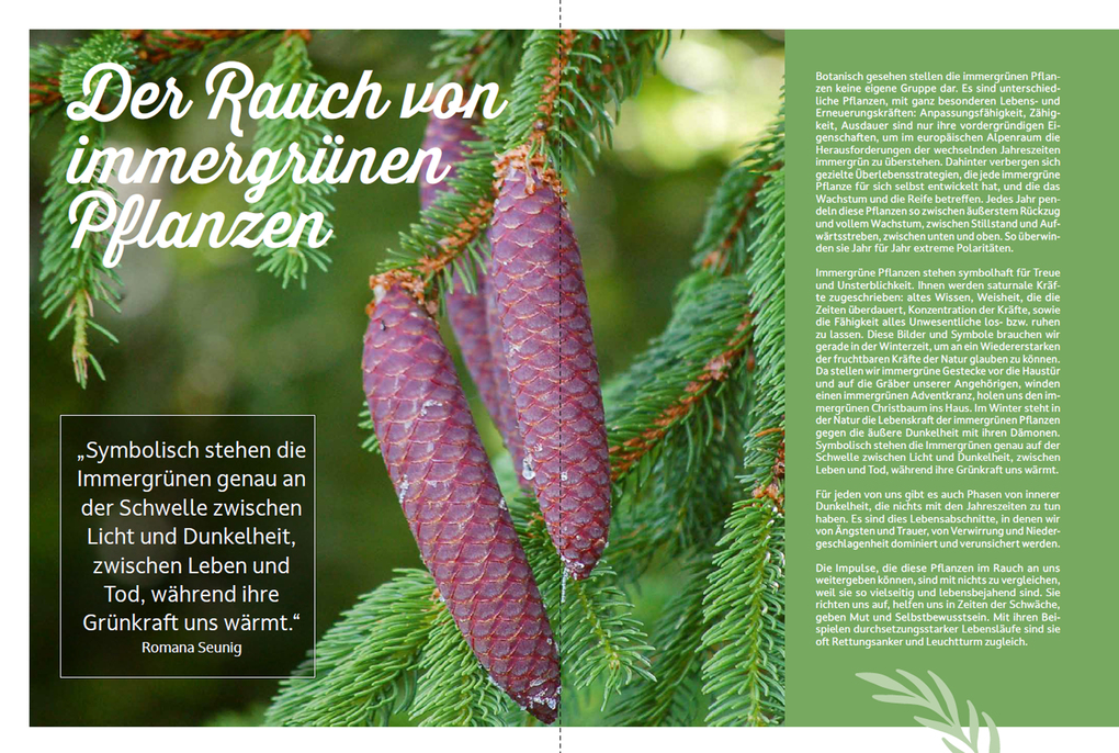 Weitere Ansicht: Räuchern im Einklang mit der Natur | Romana Seunig