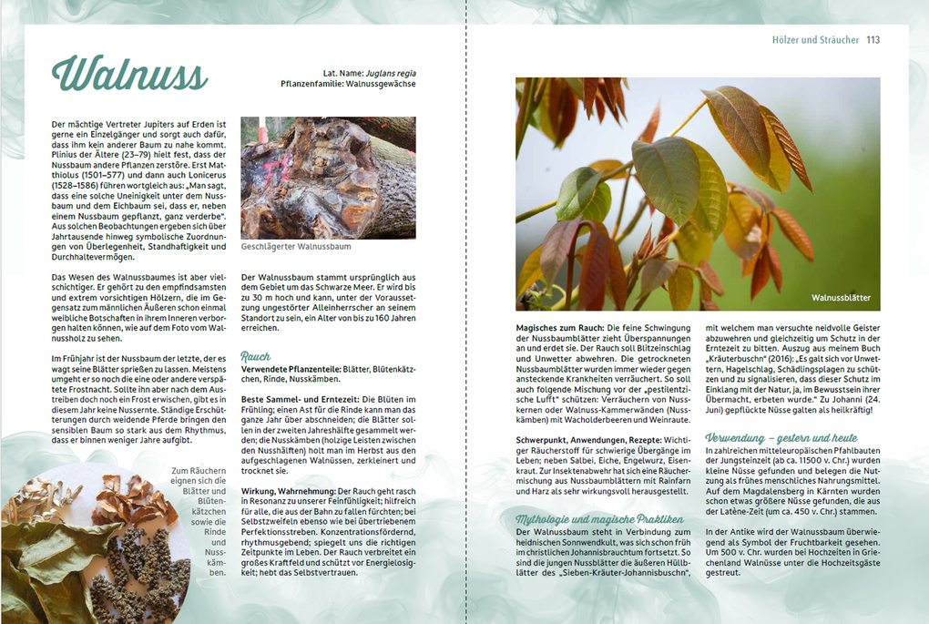 Weitere Ansicht: Räuchern im Einklang mit der Natur | Romana Seunig