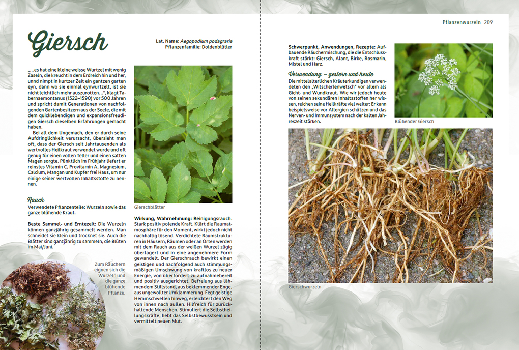 Weitere Ansicht: Räuchern im Einklang mit der Natur | Romana Seunig