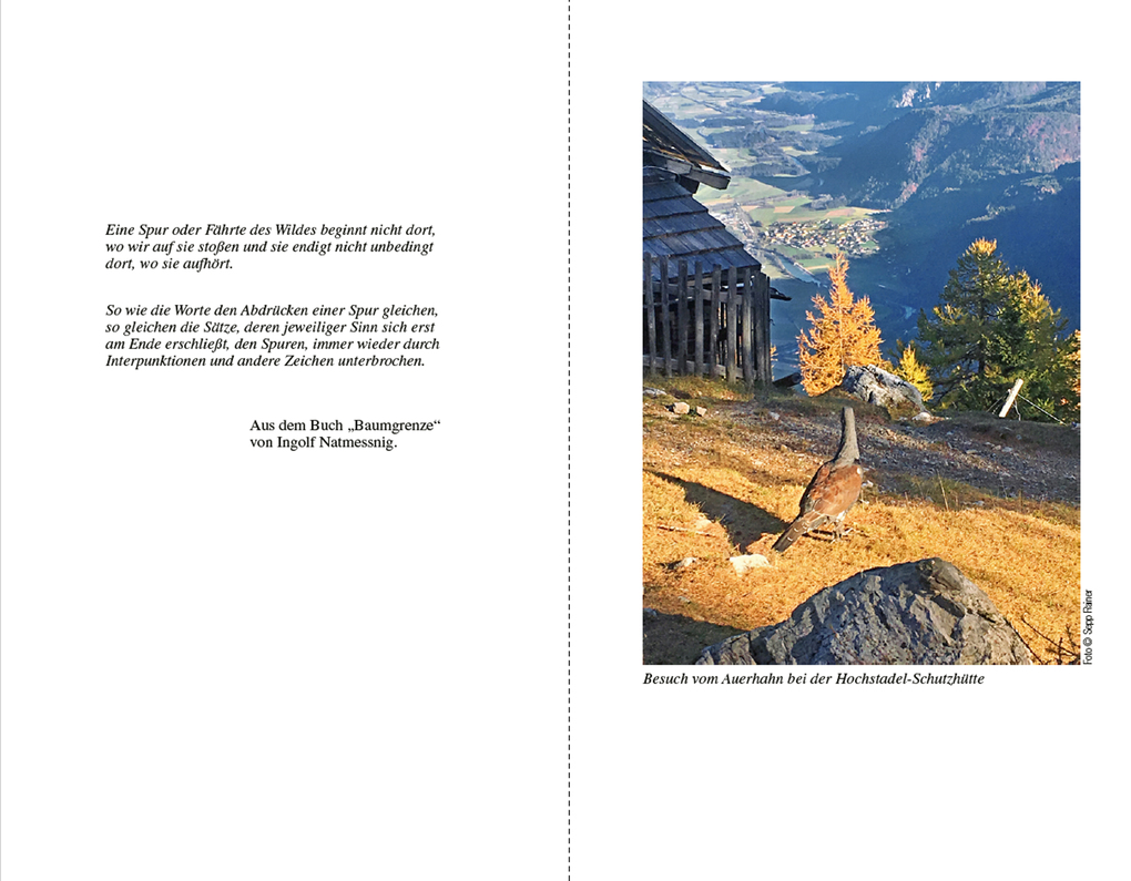 Weitere Ansicht: Von der Auerhahnbalz bis zum Silvesterhirsch | Hans Obertaxer