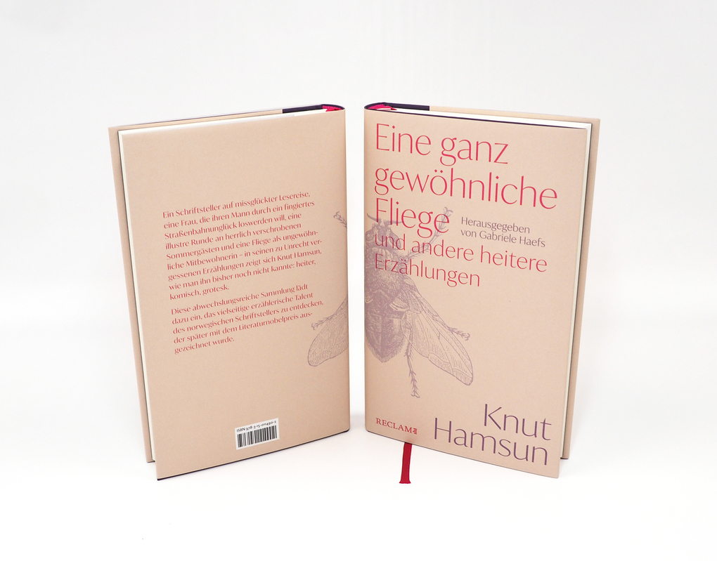 Weitere Ansicht: Eine ganz gewöhnliche Fliege und andere heitere Erzählungen | Knut Hamsun