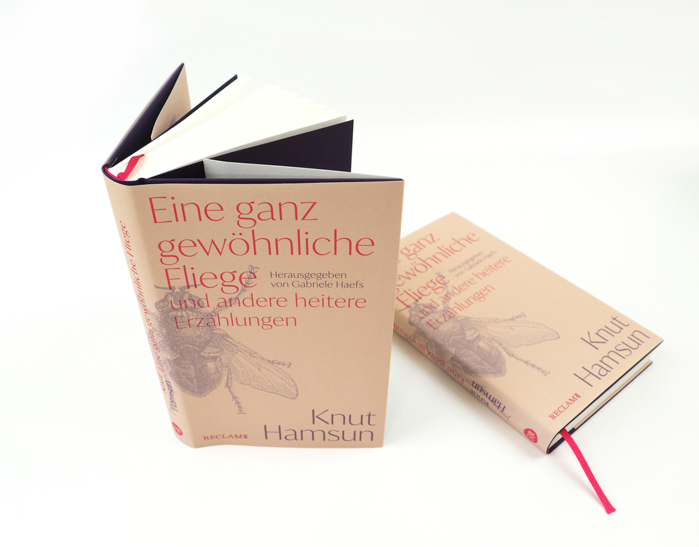 Weitere Ansicht: Eine ganz gewöhnliche Fliege und andere heitere Erzählungen | Knut Hamsun