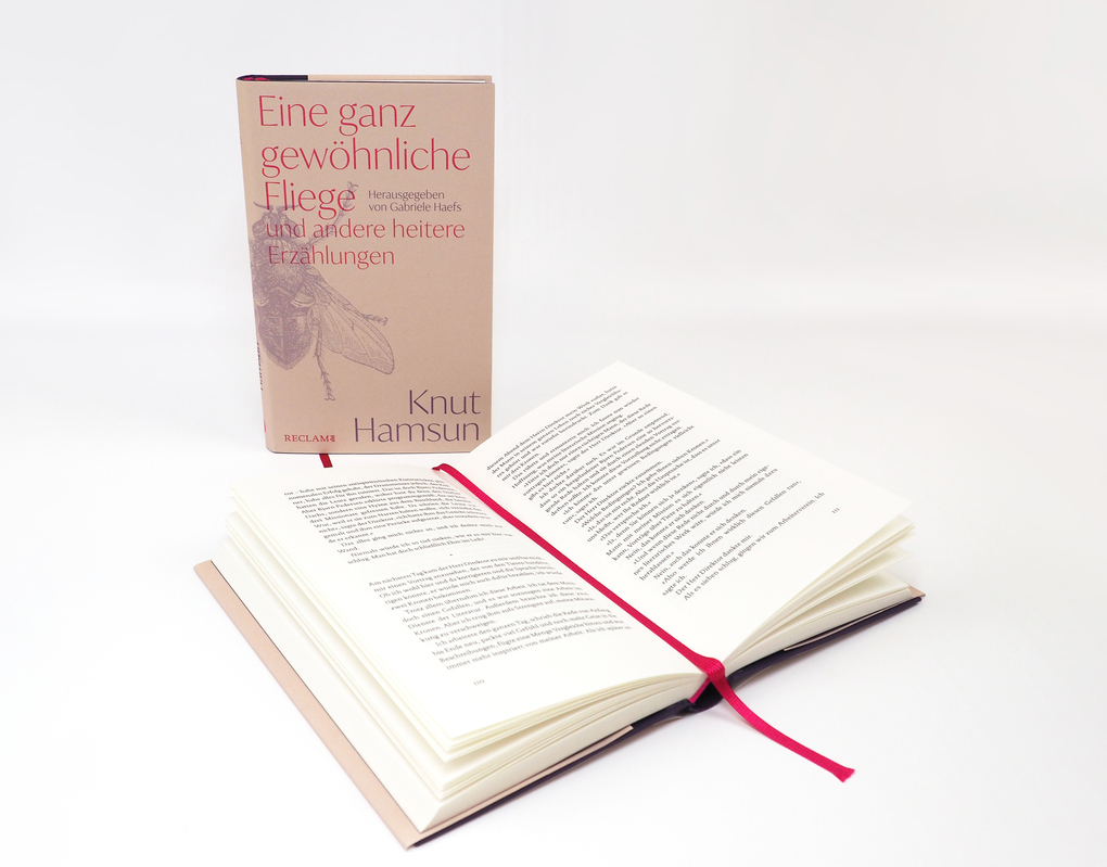 Weitere Ansicht: Eine ganz gewöhnliche Fliege und andere heitere Erzählungen | Knut Hamsun