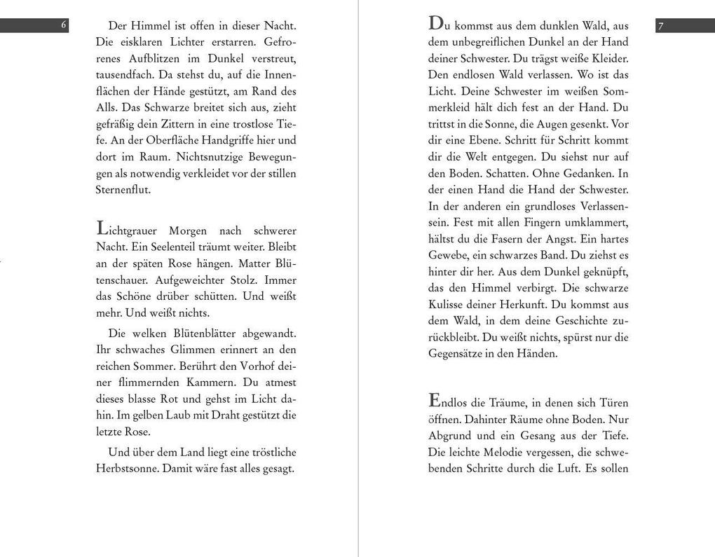 Weitere Ansicht: Gespräch mit dem gesammelten Du | Heinz Kattner