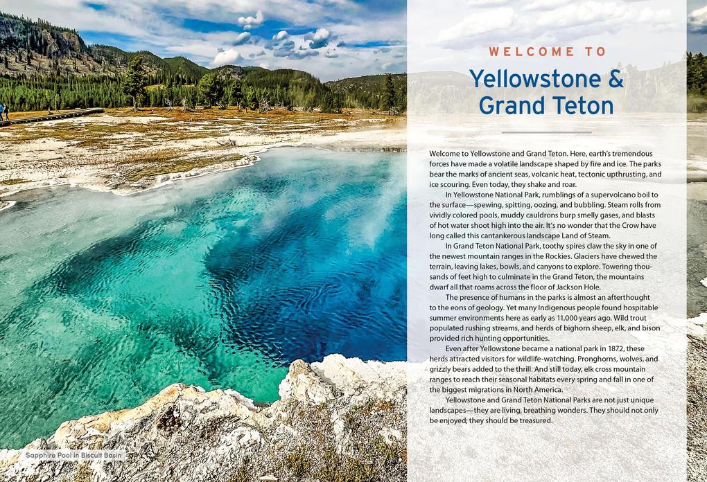 Weitere Ansicht: Moon Yellowstone & Grand Teton | Becky Lomax