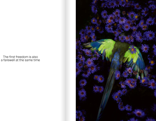 Weitere Ansicht: Kristin Schnell | Kristin Schnell