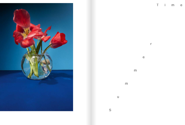 Weitere Ansicht: Kristin Schnell | Kristin Schnell