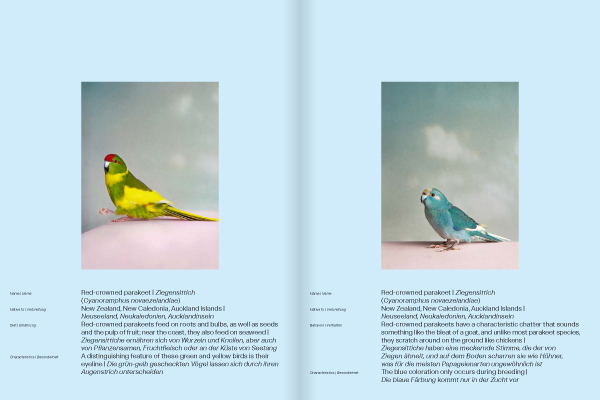 Weitere Ansicht: Kristin Schnell | Kristin Schnell