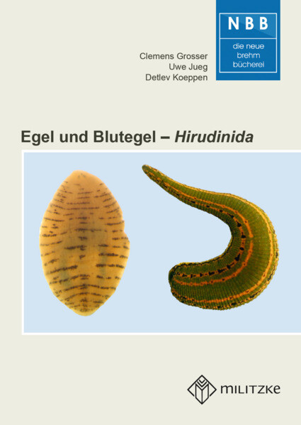 Produktbild: Egel und Blutegel | Clemens Grosser, Uwe Jueg, Detlev Koeppen