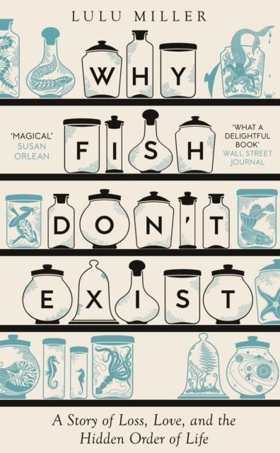 Produktbild: Why Fish Don't Exist | Lulu Miller