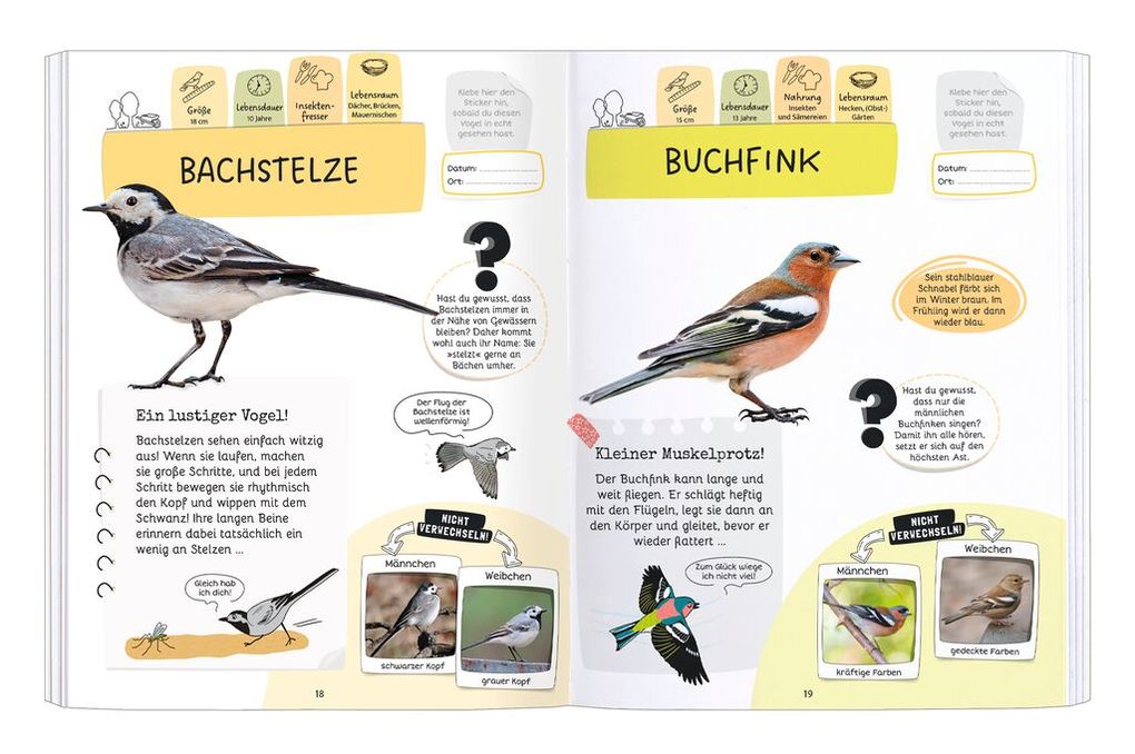 Weitere Ansicht: Expedition Natur Rätseln, Stickern, Bestimmen - Vögel