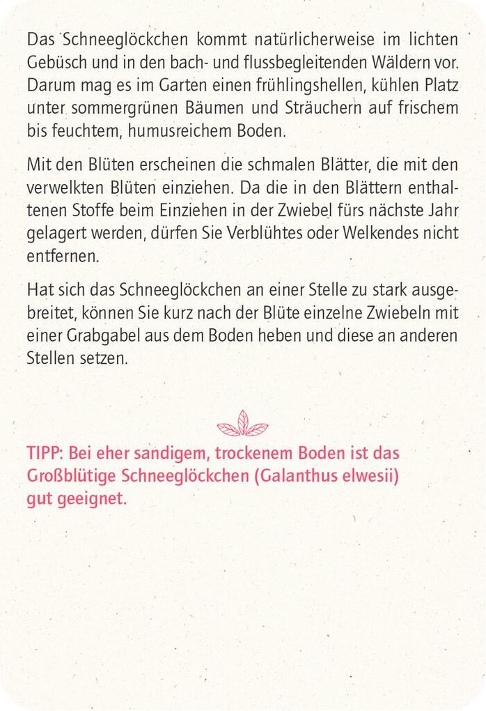 Weitere Ansicht: Blatt & Blüte Winterglück | Bärbel Oftring