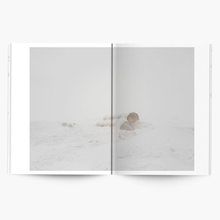 Weitere Ansicht: Angela Boehm | Minus 30 | Daniel Blochwitz, Brad Zellar