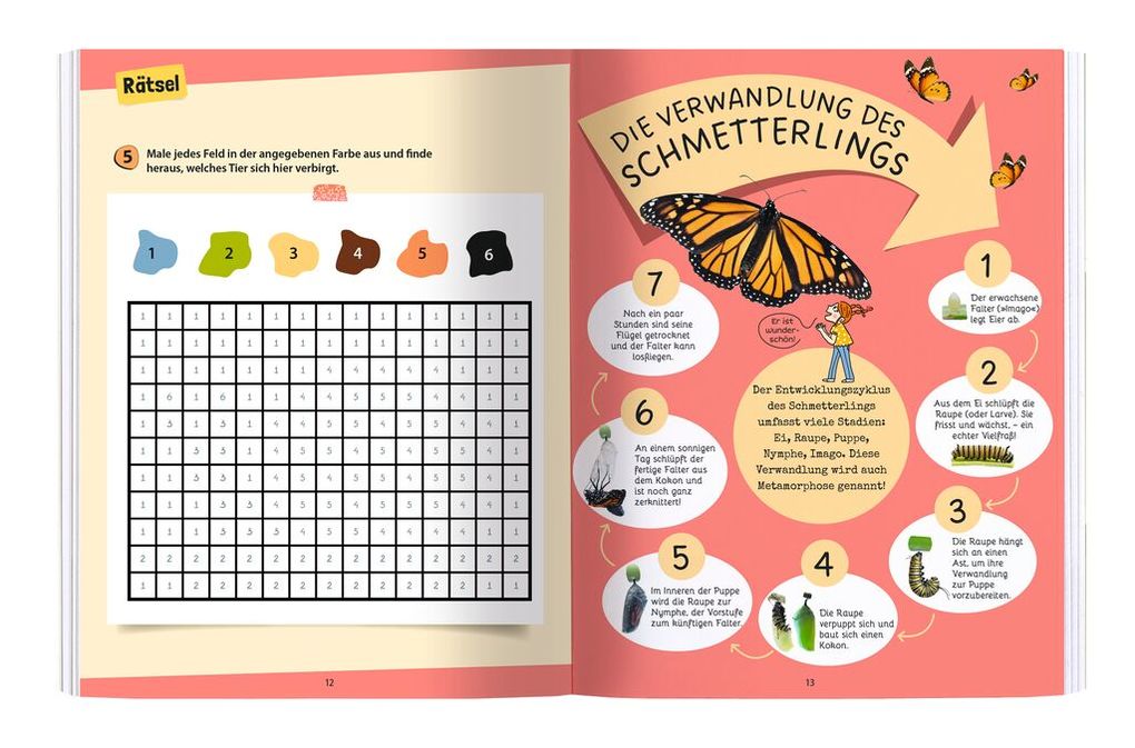 Weitere Ansicht: Expedition Natur Rätseln, Stickern, Bestimmen - Insekten & Co.