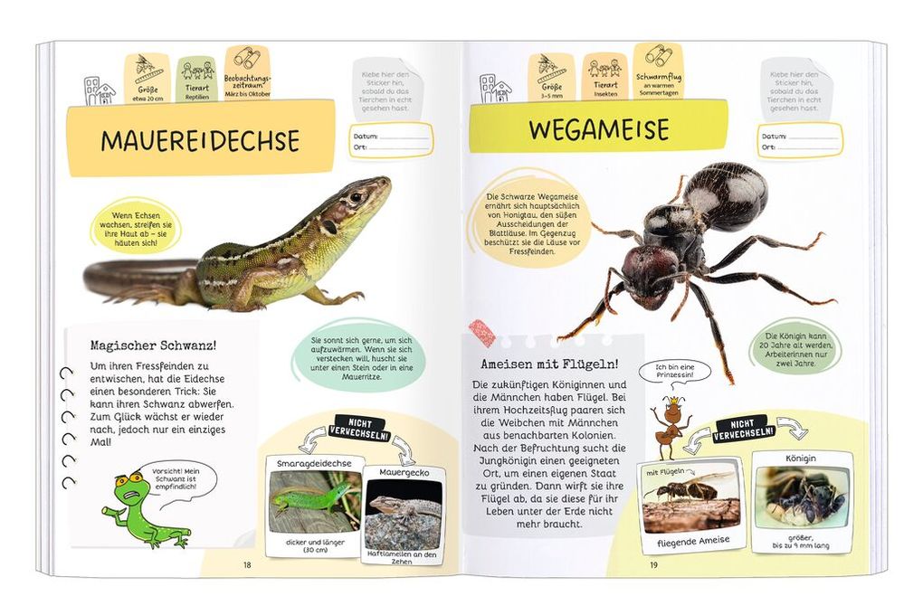 Weitere Ansicht: Expedition Natur Rätseln, Stickern, Bestimmen - Insekten & Co.