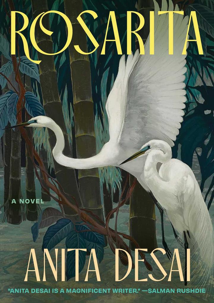 Produktbild: Rosarita | Anita Desai