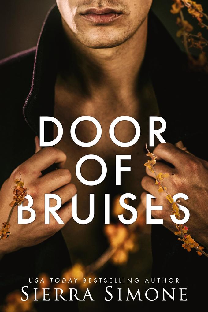 Produktbild: Door of Bruises | Sierra Simone
