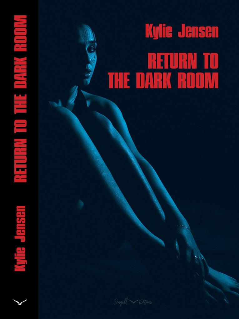 Produktbild: Return to the Dark Room | Kylie Jensen