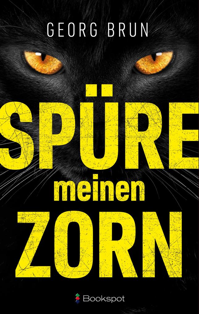 Produktbild: Spüre meinen Zorn | Georg Brun