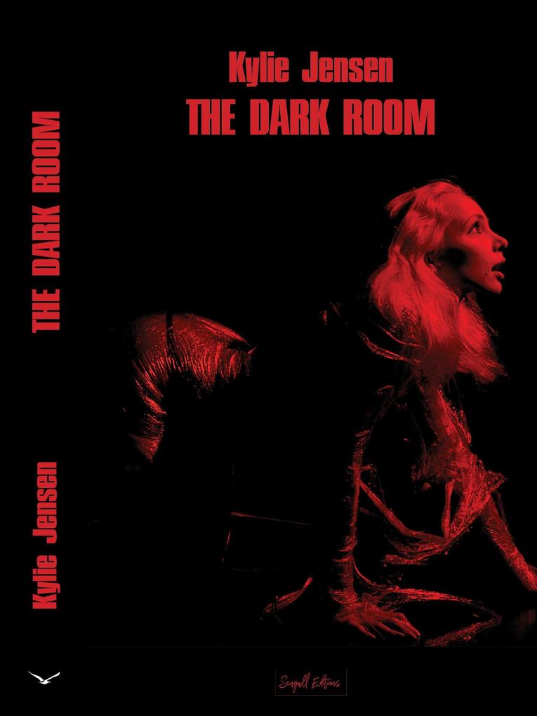 Produktbild: The Dark Room | Kylie Jensen