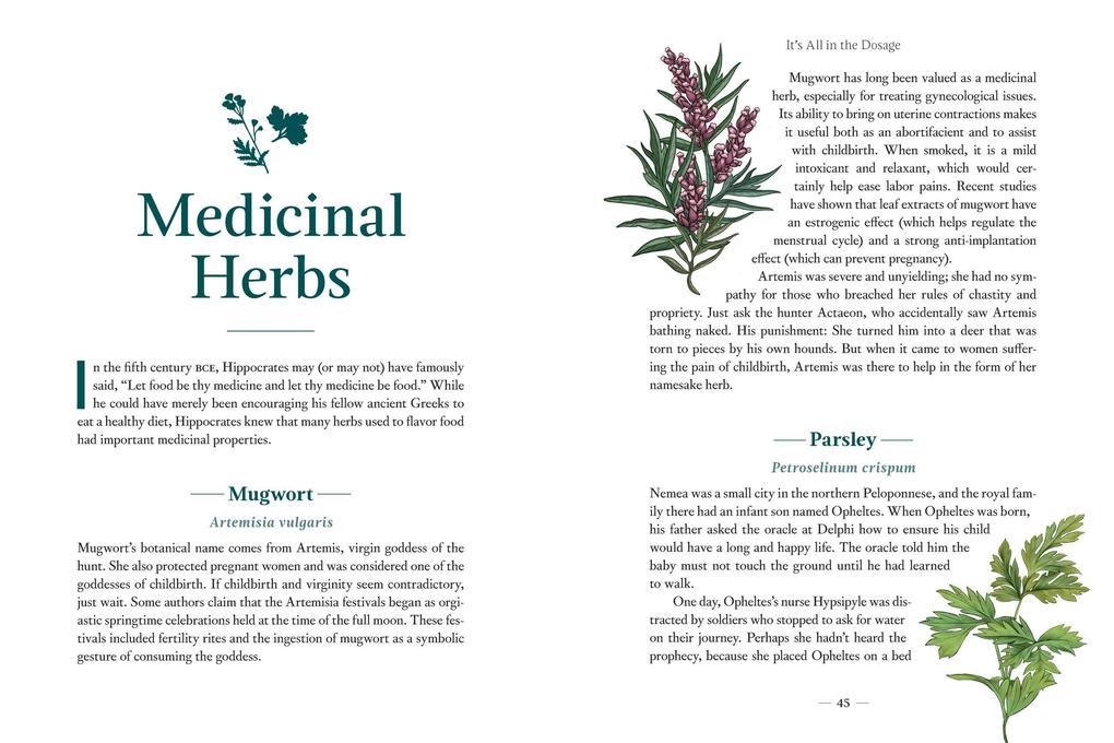 Weitere Ansicht: Mythic Plants | Ellen Zachos