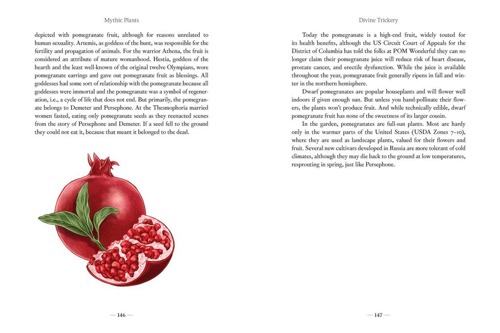 Weitere Ansicht: Mythic Plants | Ellen Zachos