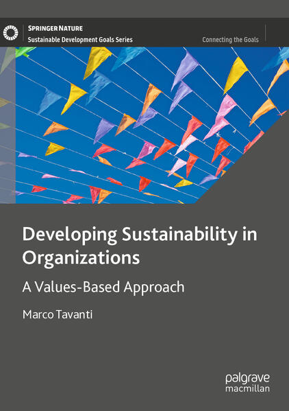 Produktbild: Developing Sustainability in Organizations | Marco Tavanti