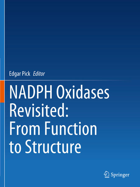 Produktbild: NADPH Oxidases Revisited: From Function to Structure