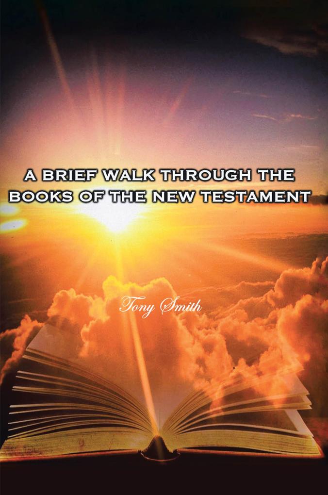 Produktbild: A Brief Walk through the Books of the New Testament | Tony Smith