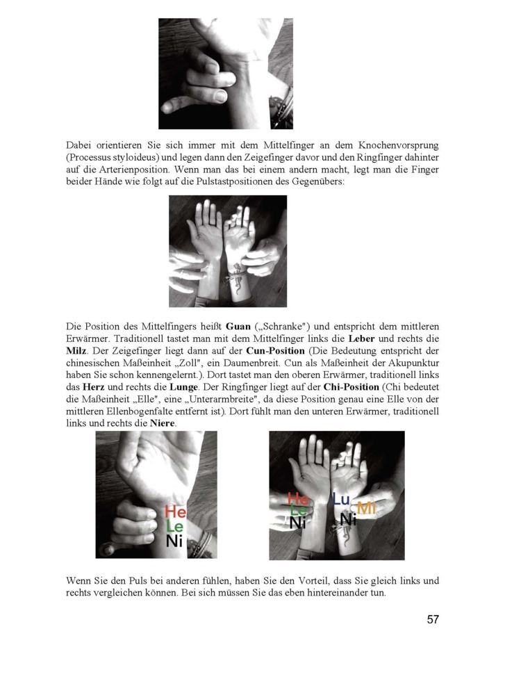 Weitere Ansicht: Die vollständige chinesische Hausapotheke | Georg Weidinger