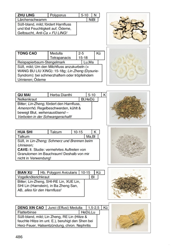 Weitere Ansicht: Die vollständige chinesische Hausapotheke | Georg Weidinger