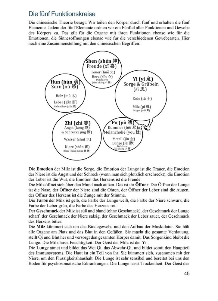 Weitere Ansicht: Die vollständige chinesische Hausapotheke | Georg Weidinger