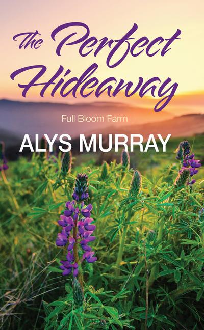 Produktbild: The Perfect Hideaway | Alys Murray