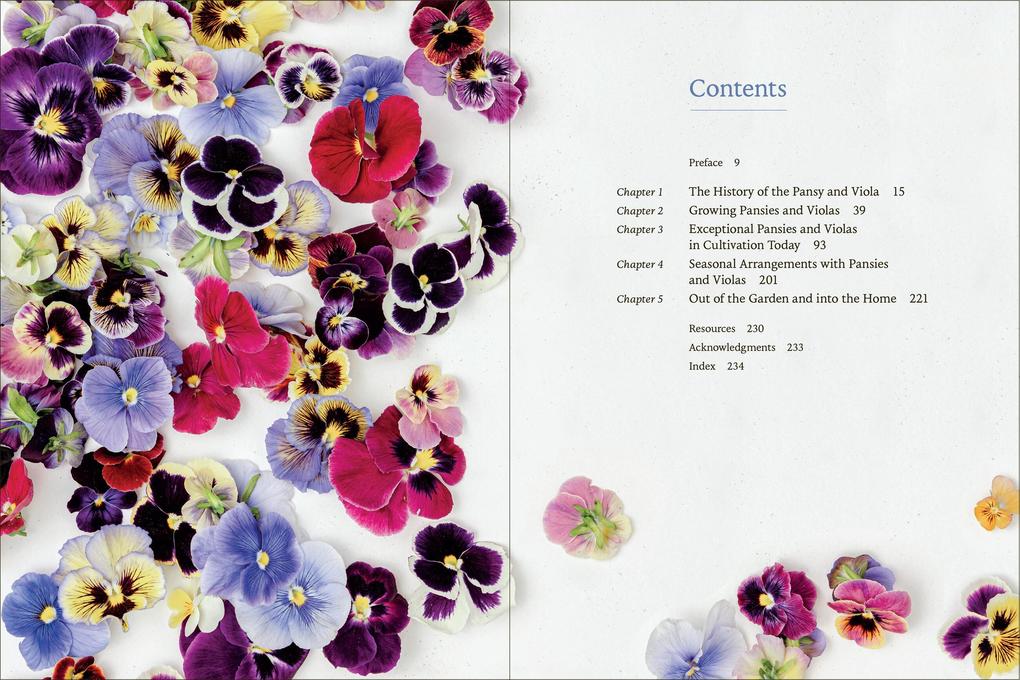 Weitere Ansicht: Pansies | Brenna Estrada