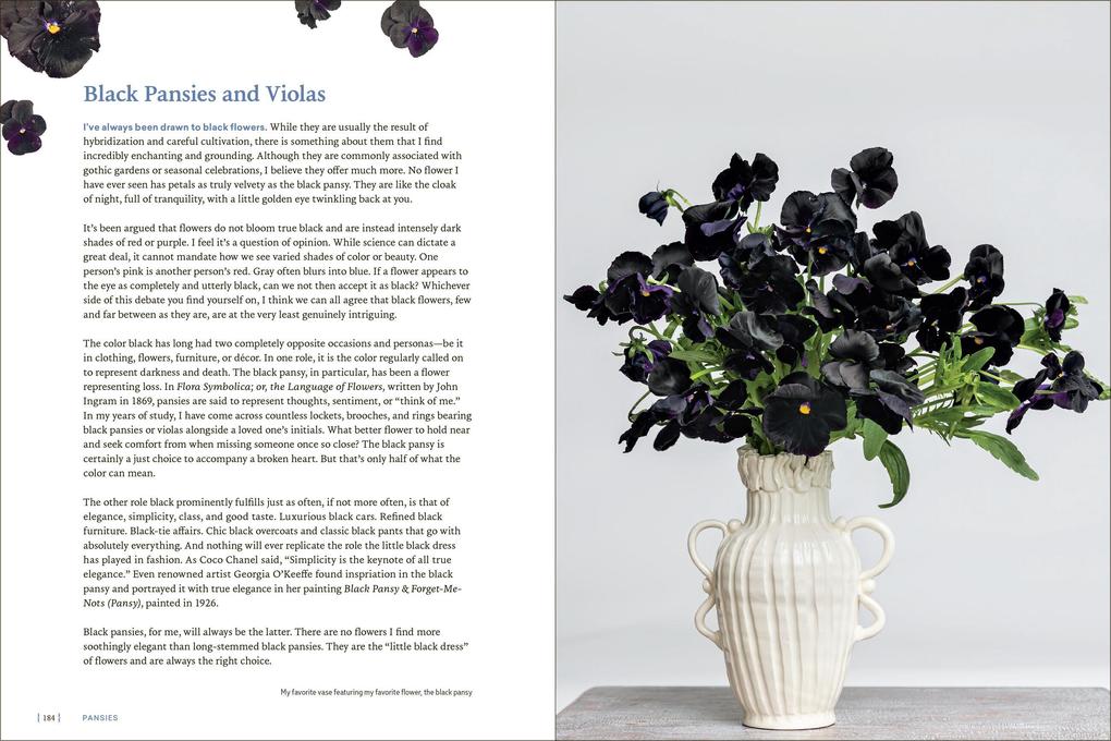Weitere Ansicht: Pansies | Brenna Estrada