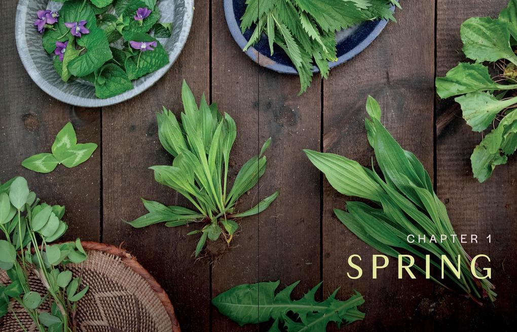 Weitere Ansicht: Herbs in Every Season | Bevin Cohen