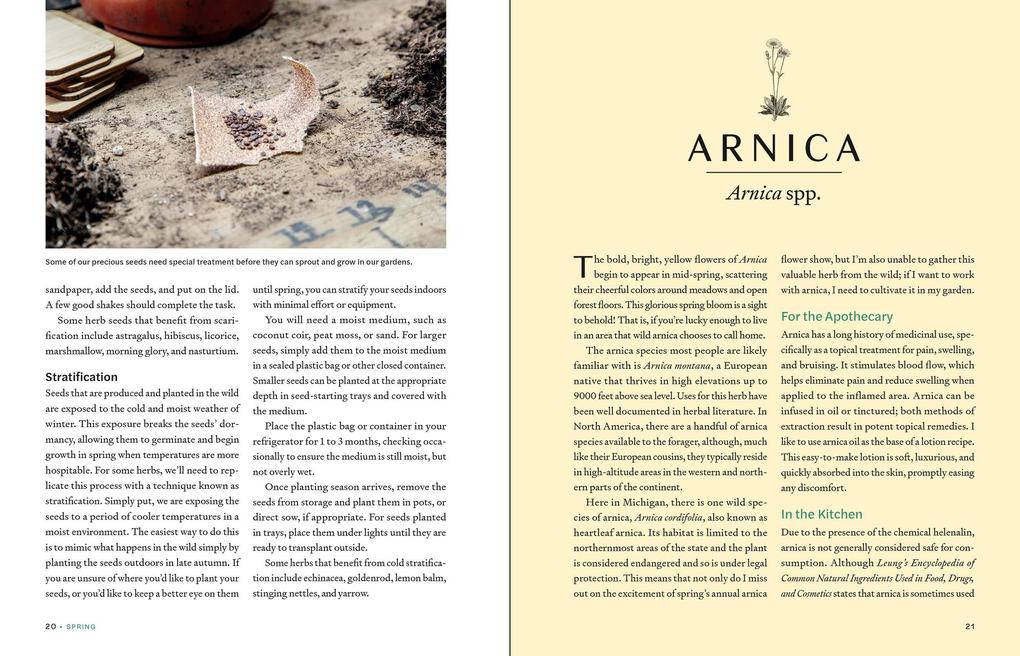Weitere Ansicht: Herbs in Every Season | Bevin Cohen