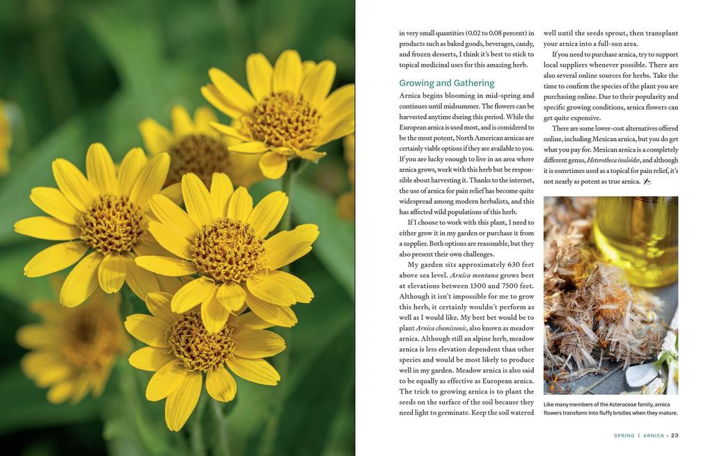 Weitere Ansicht: Herbs in Every Season | Bevin Cohen