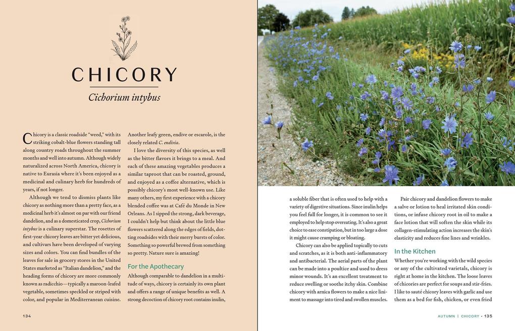 Weitere Ansicht: Herbs in Every Season | Bevin Cohen