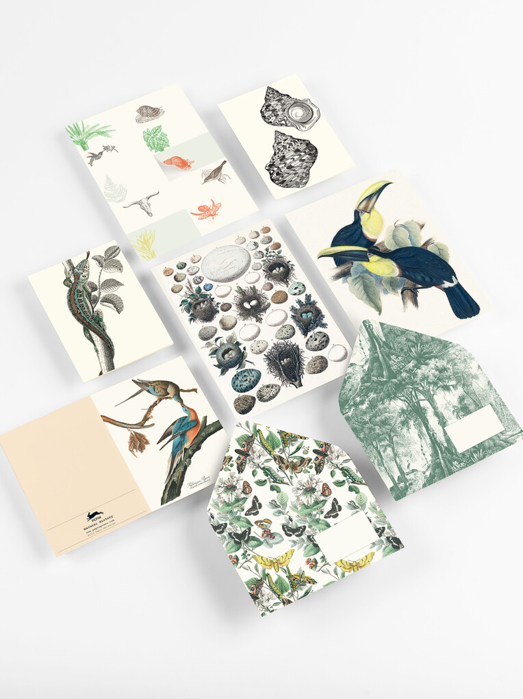 Weitere Ansicht: Natural History | Pepin Van Roojen