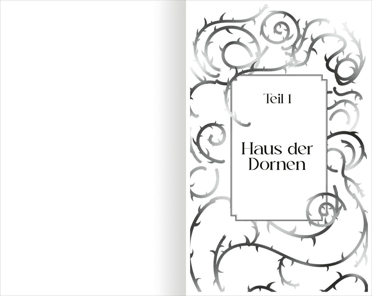 Weitere Ansicht: The North Wind - Reich aus Eis und Schatten (The Four Winds 1) | Alexandria Warwick