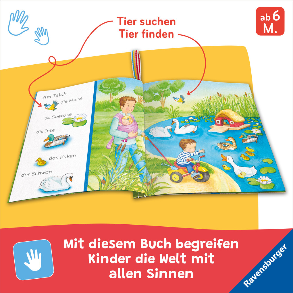 Weitere Ansicht: Mein Knuddel-Knautsch-Buch - Sachen suchen. Meine Lieblingstiere