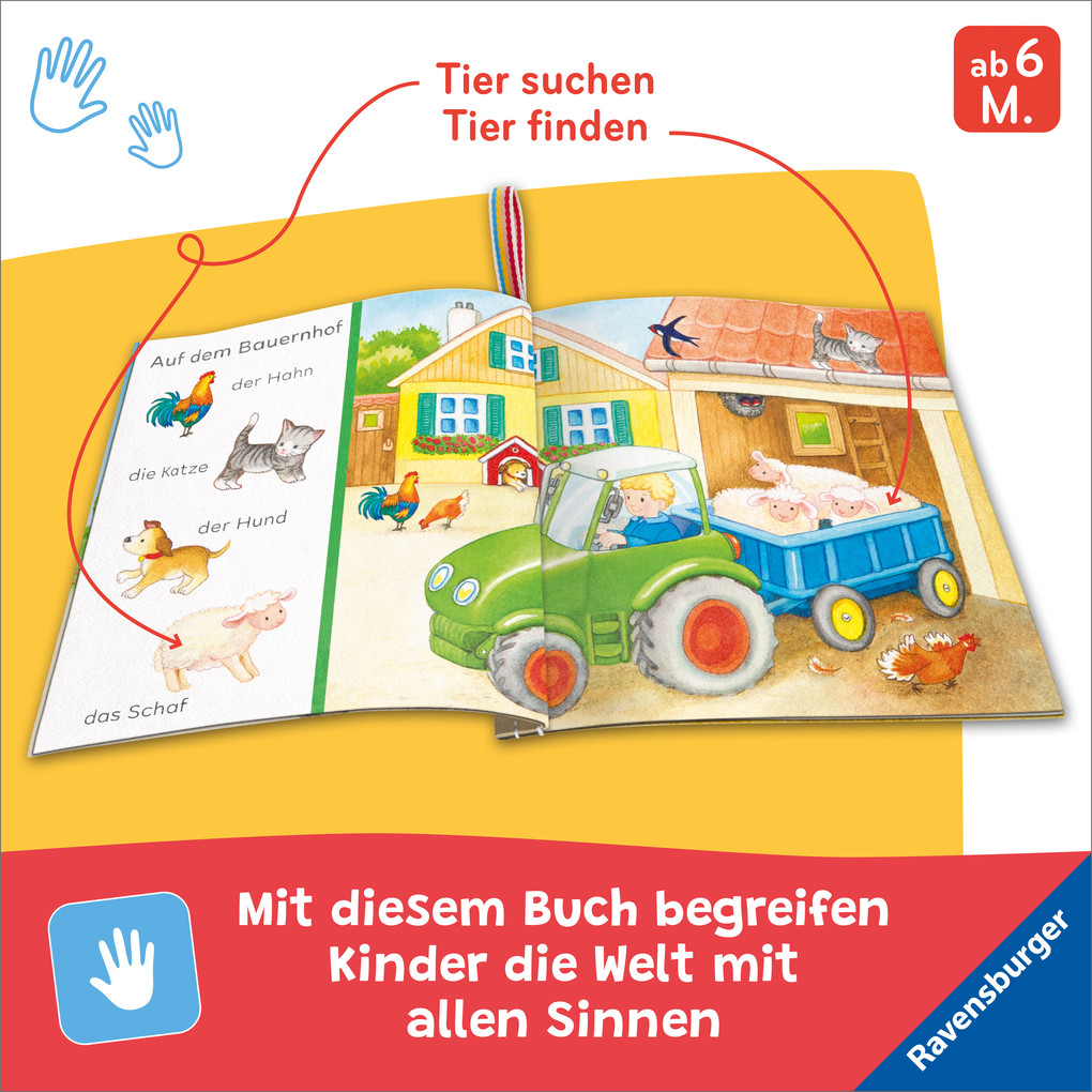 Weitere Ansicht: Mein Knuddel-Knautsch-Buch - Sachen suchen. Mein Bauernhof