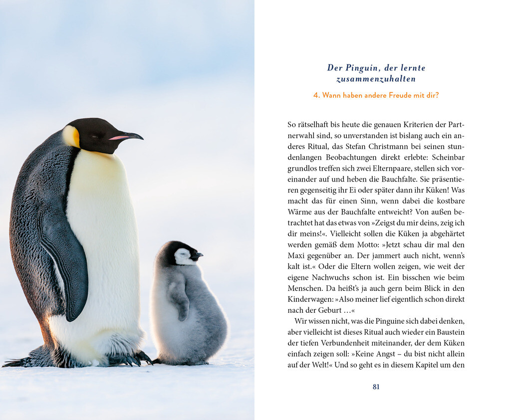 Weitere Ansicht: Der Pinguin, der fliegen lernte | Eckart von Hirschhausen
