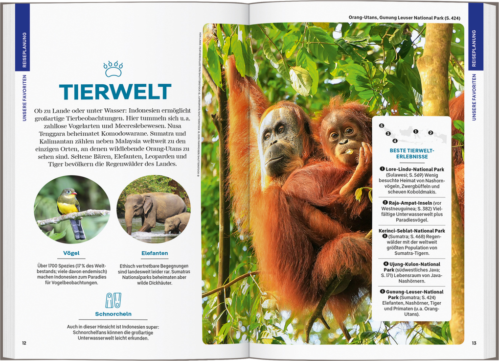 Weitere Ansicht: LONELY PLANET Reiseführer Indonesien | David Eimer, Jason Lee, Jayne D'Arcy, Mark Johanson, Regis St. Louis